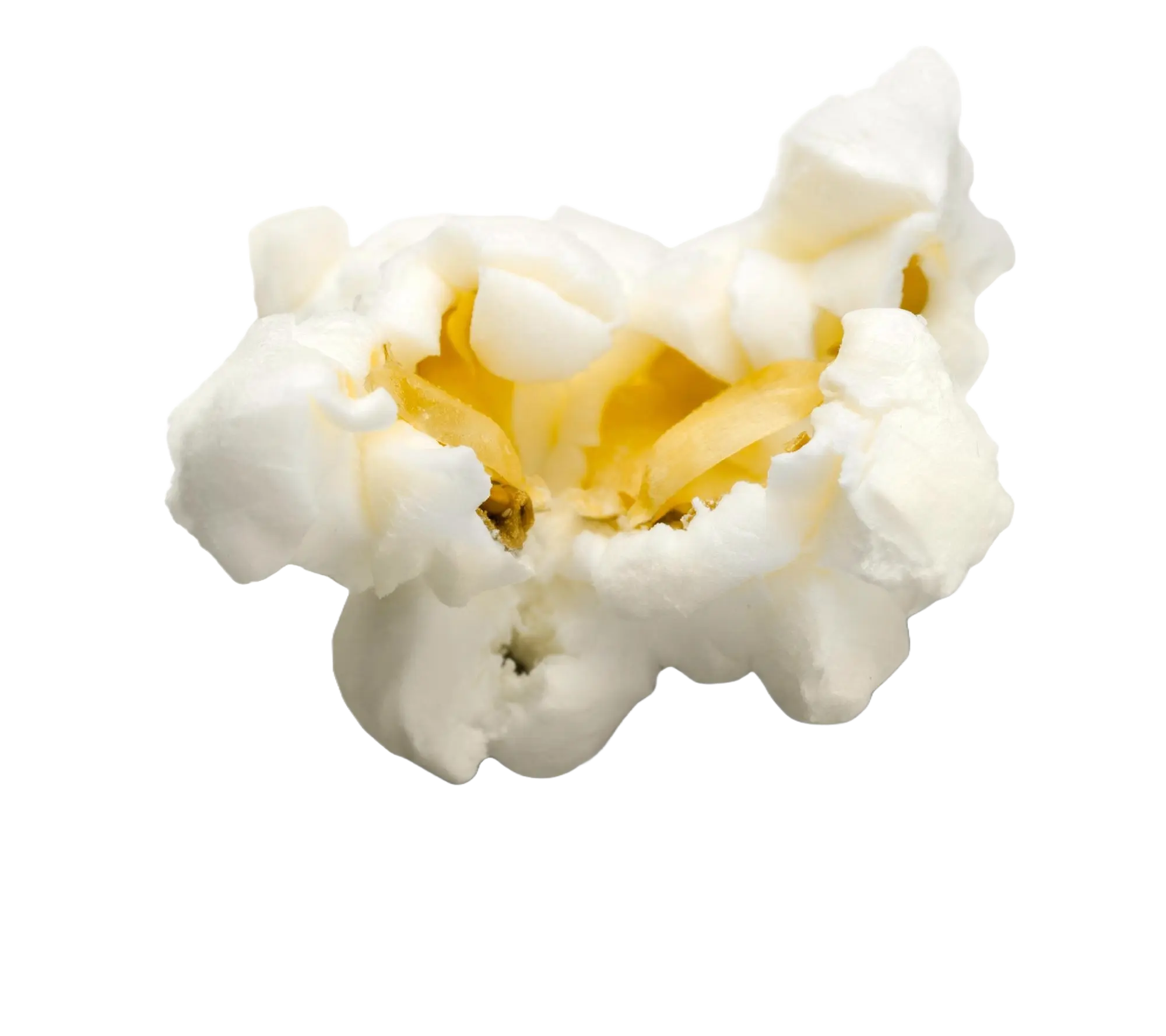 pipoca-1
